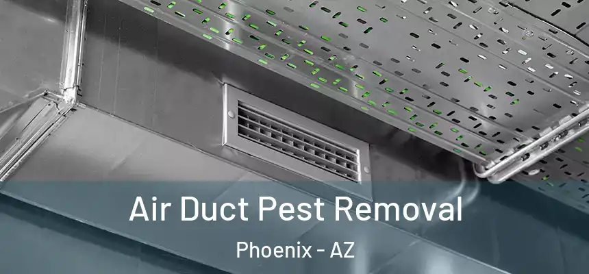 Air Duct Pest Removal Phoenix - AZ
