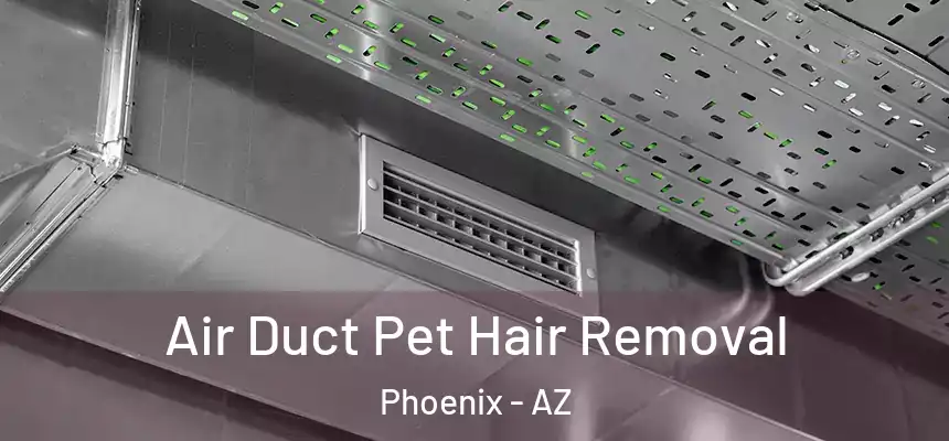 Air Duct Pet Hair Removal Phoenix - AZ