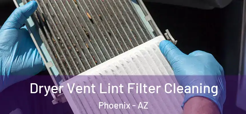 Dryer Vent Lint Filter Cleaning Phoenix - AZ