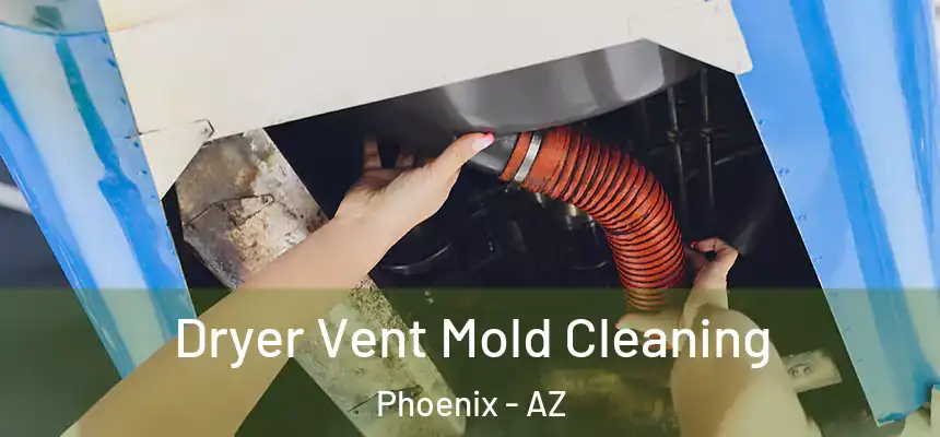 Dryer Vent Mold Cleaning Phoenix - AZ