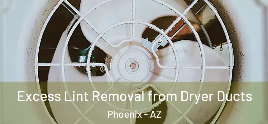 Excess Lint Removal from Dryer Ducts Phoenix - AZ