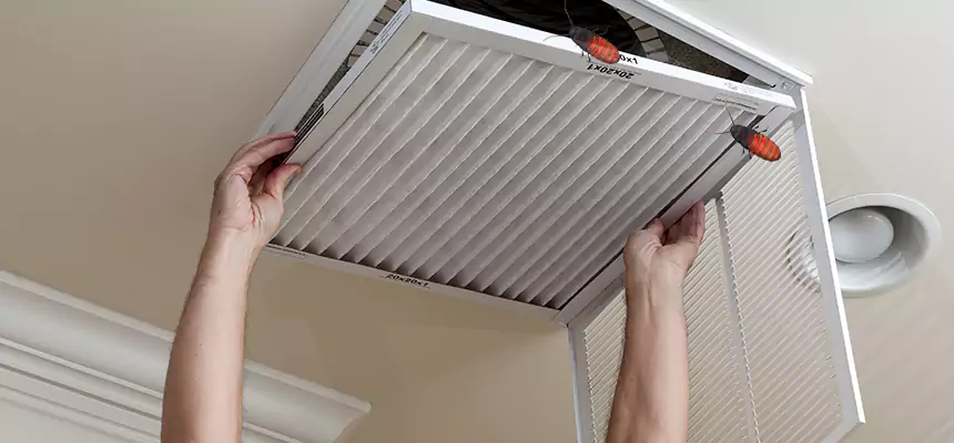 Preventive Cockroach-Proofing for Ducts in Phoenix
