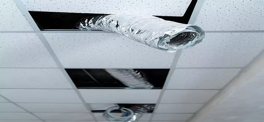 Affordable HVAC Sanitizing After Pest Removal in Phoenix