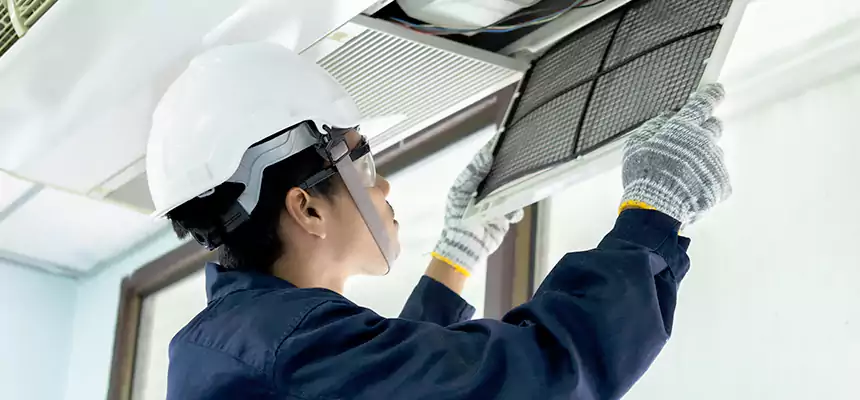 Our Mold & Mildew Removal from Air Ducts Services in Phoenix, AZ