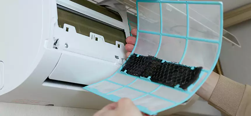 Gentle Ductwork Odor-Control Pet Dander Duct Cleaning in Phoenix, AZ