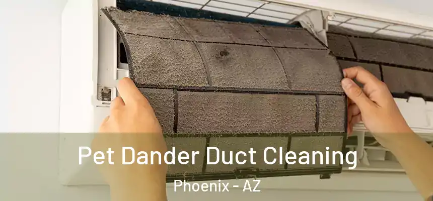 Pet Dander Duct Cleaning Phoenix - AZ