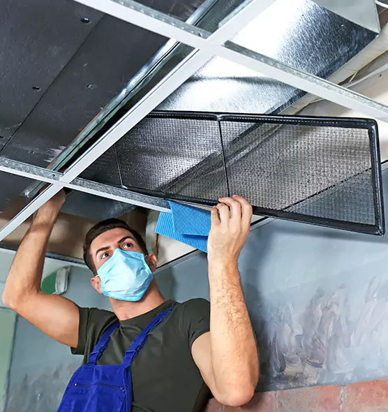About Air Duct Bacteria Removal in Phoenix