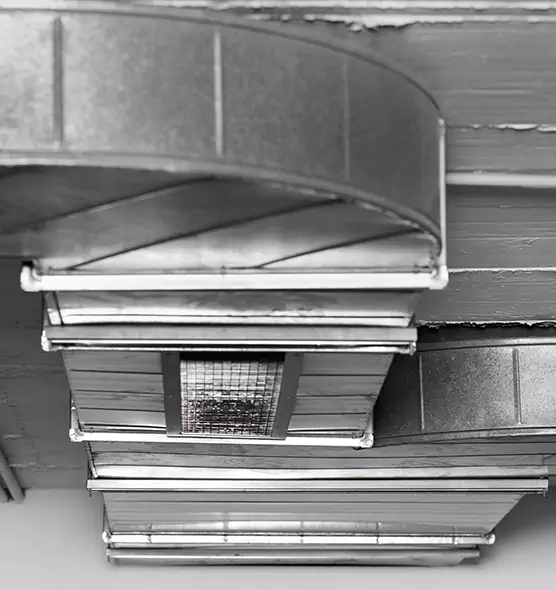 Professional Air Duct Pest Removal in Phoenix, AZ