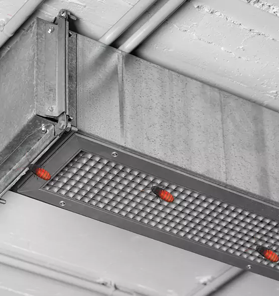 Affordable Insect Removal from Air Ducts in Phoenix, AZ