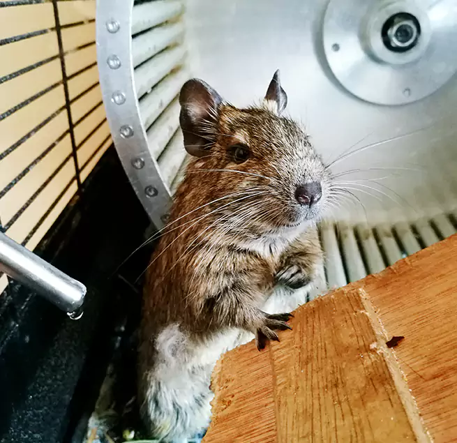 Why Homeowners & Businesses Trust Us Phoenix, AZ