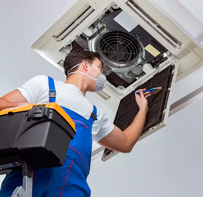 Why Homeowners & Businesses Trust Us in Phoenix, AZ