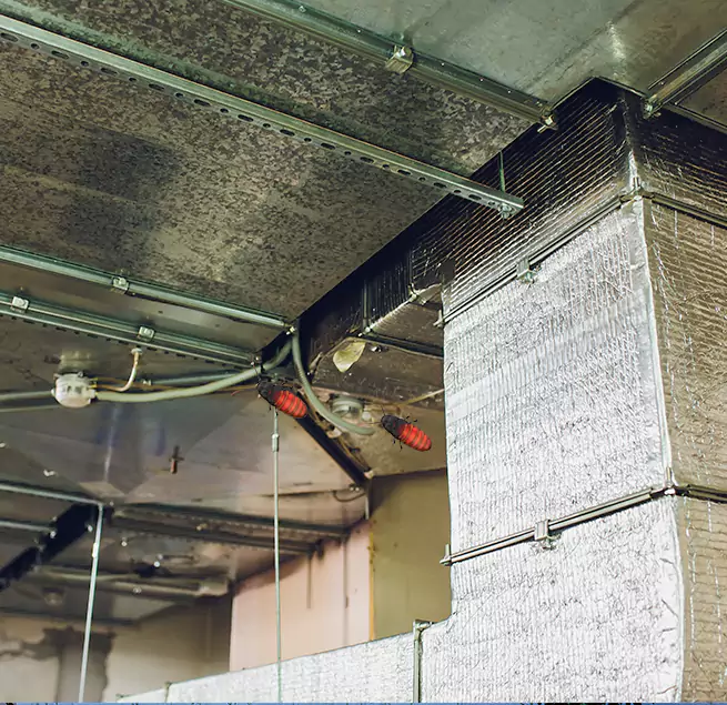 Why Homeowners & Businesses Trust Us Phoenix, AZ?