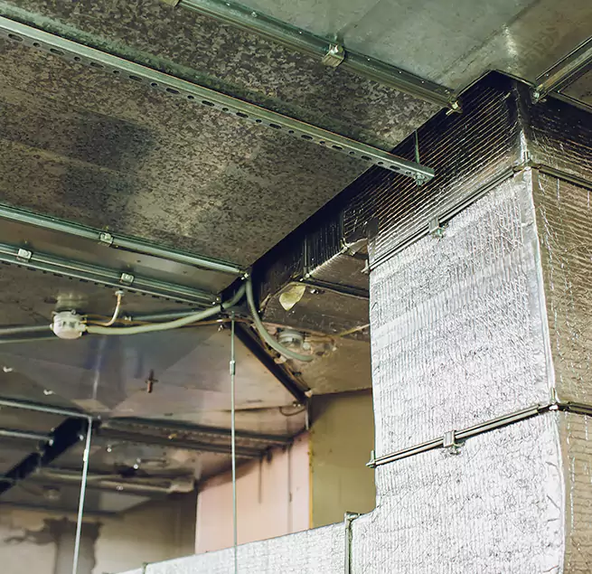 Why Homeowners & Businesses Trust Us in Phoenix, AZ?